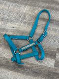 *USAGÉ* Licou Turquoise Brillants - Fouganza