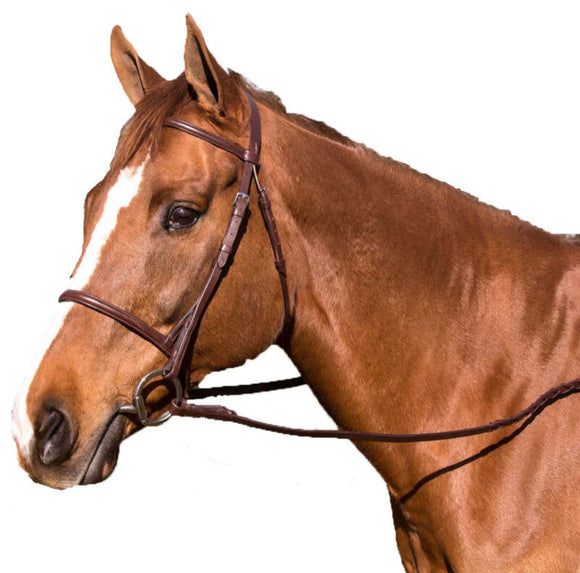 Poinçon à Cuir Ultra Robuste – HRH Equestrian