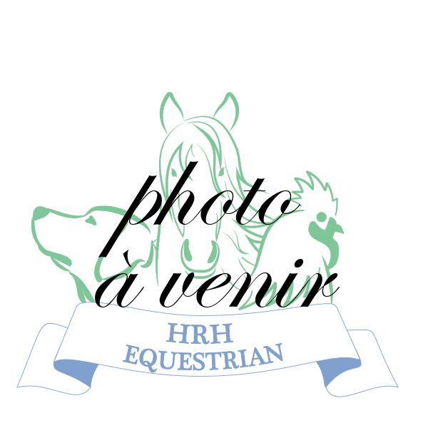 Brosse à oeufs – HRH Equestrian