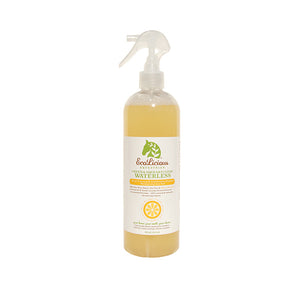 Shampooing Sec « Squeaky Green & Clean » - Ecolicious 🇨🇦